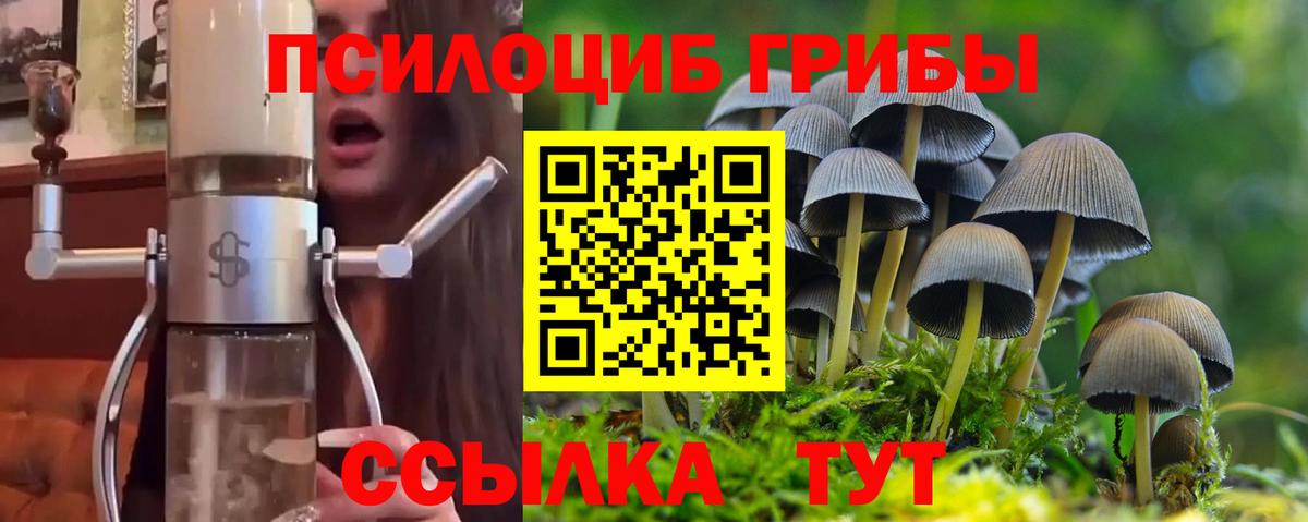 Галлюциногенные грибы MAGIC MUSHROOMS  Псилоцибиновые грибы Psilocybine cubensis  Лангепас  Вход с VPN 