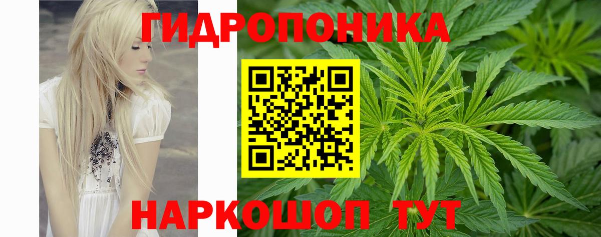 Бошки Шишки White Widow  Бошки марихуана LSD WEED  Вход с VPN  Лангепас  МАРИХУАНА гибрид 